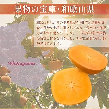 Amazon.co.jp: もりもとや 和歌山県産 たねなし 柿 訳あり